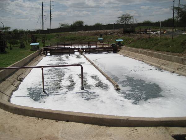 Depuration of tannery wastewater