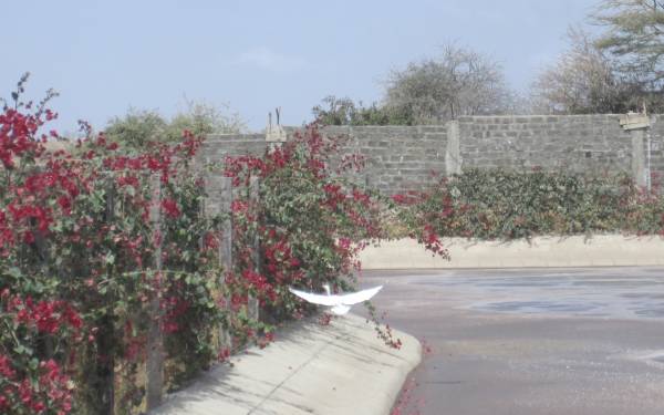 Tannery wastewater treatment